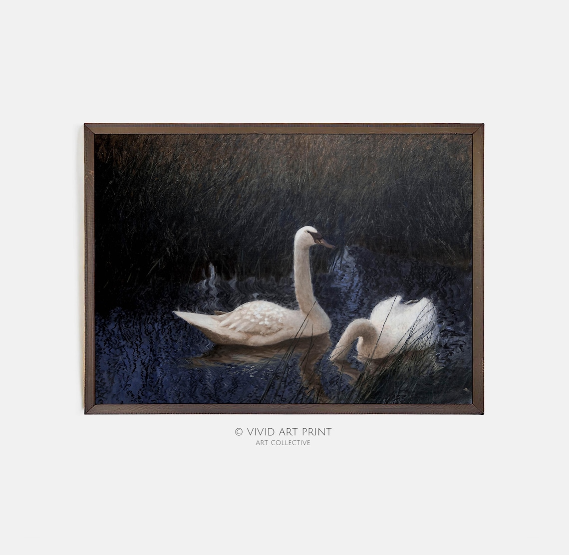 Moody Vintage Swans, Classic Realist Farmhouse Art Print
