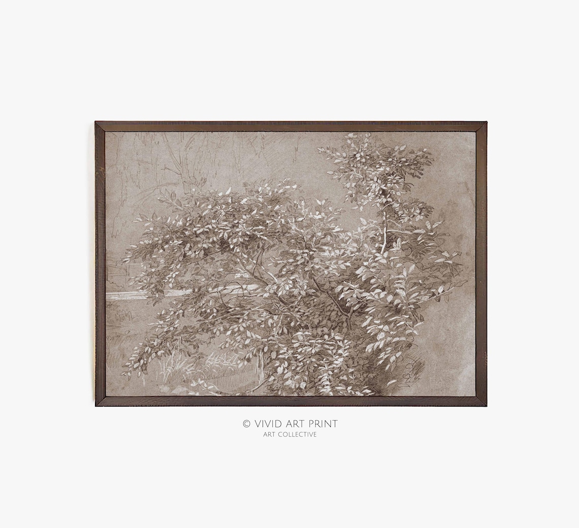 Vintage Botanical Sketch, Minimalist Autumn Floral