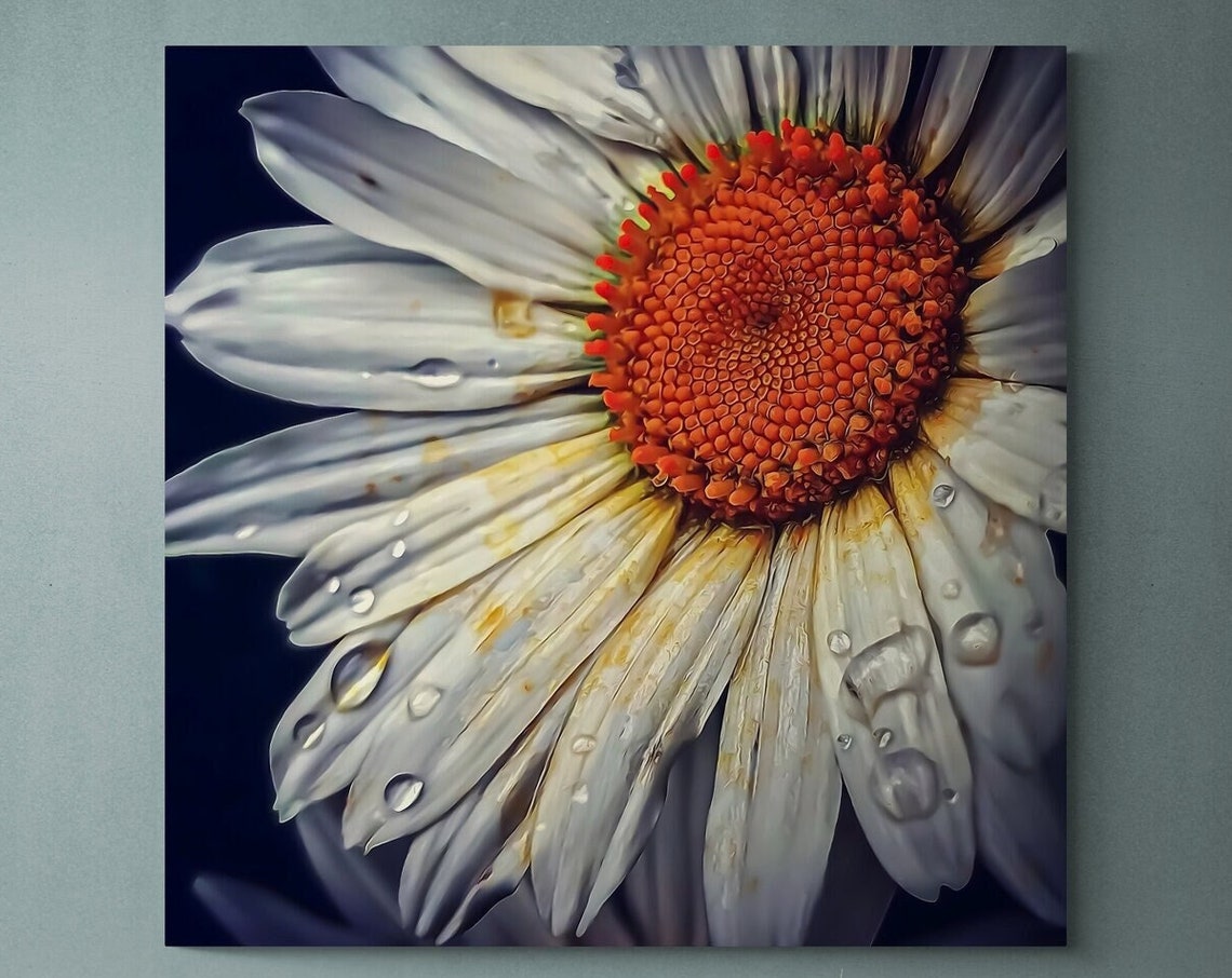 White Daisy Macro Water Droplets Fresh Petals Dark Background Print - Image 3