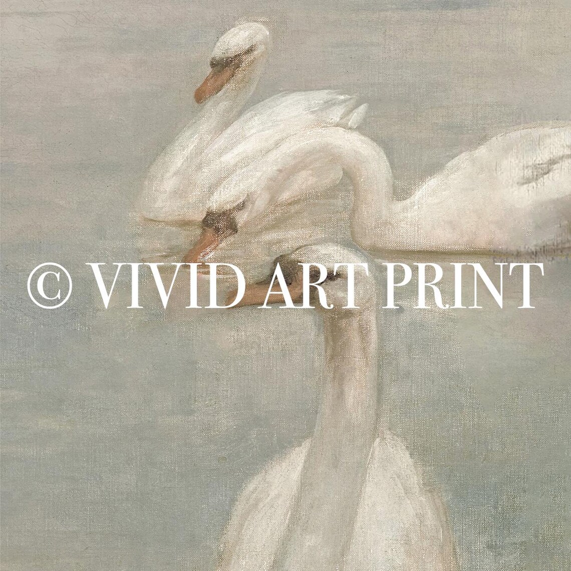 Vintage Swan Art Print, Pastel Farmhouse Nursery Decor - Image 4