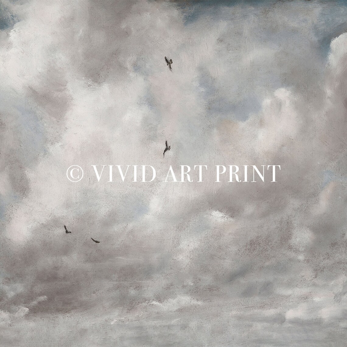 Vintage Cloud Wall Art, Birds and Clouds - Image 4