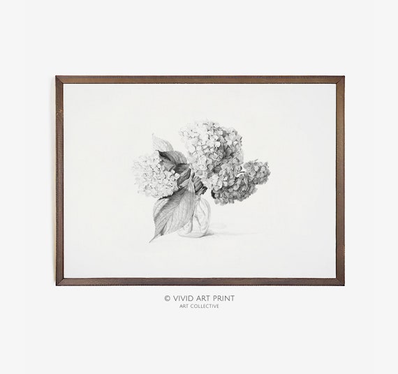 Antique Hydrangea Sketch, Vintage Kitchen Art Print