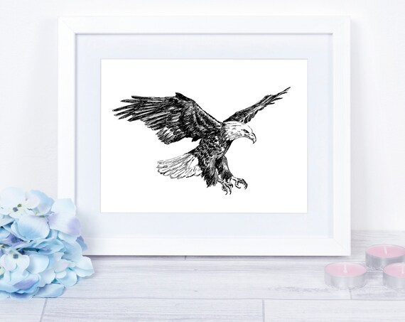 Bald Eagle in Flight Ink Sketch Majestic American Raptor Print