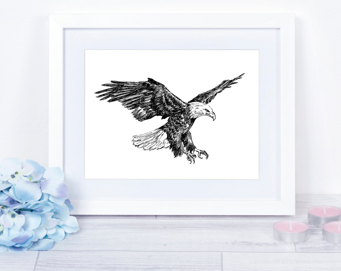 Bald Eagle in Flight Ink Sketch Majestic American Raptor Print