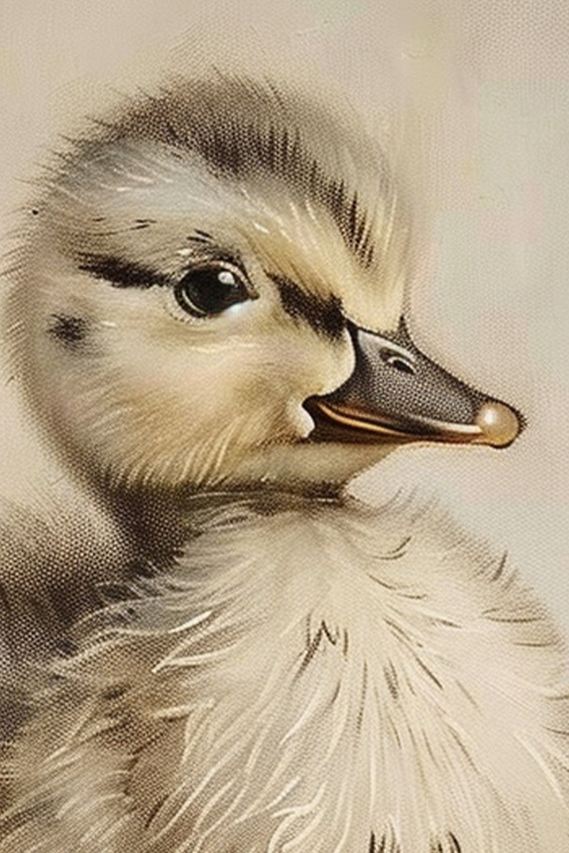 Baby Mallard Duck Woodland Animal Art Farm Animal Nursery Art Farm Nursery Decor Kids Art Baby Room Art Download 1229 - Image 3