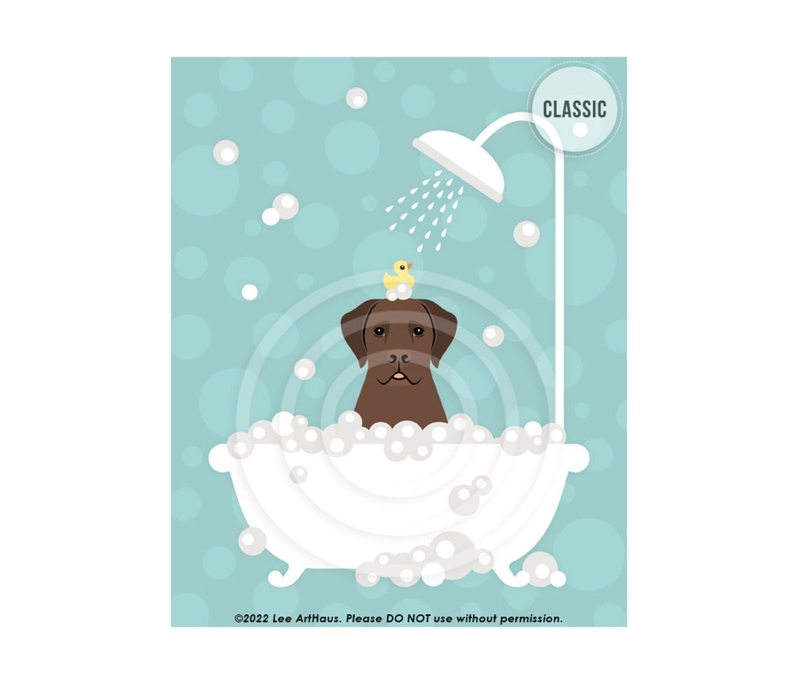 Chocolate Labrador In Shower Bathtub With Rubber Duck Dog Bath Poster