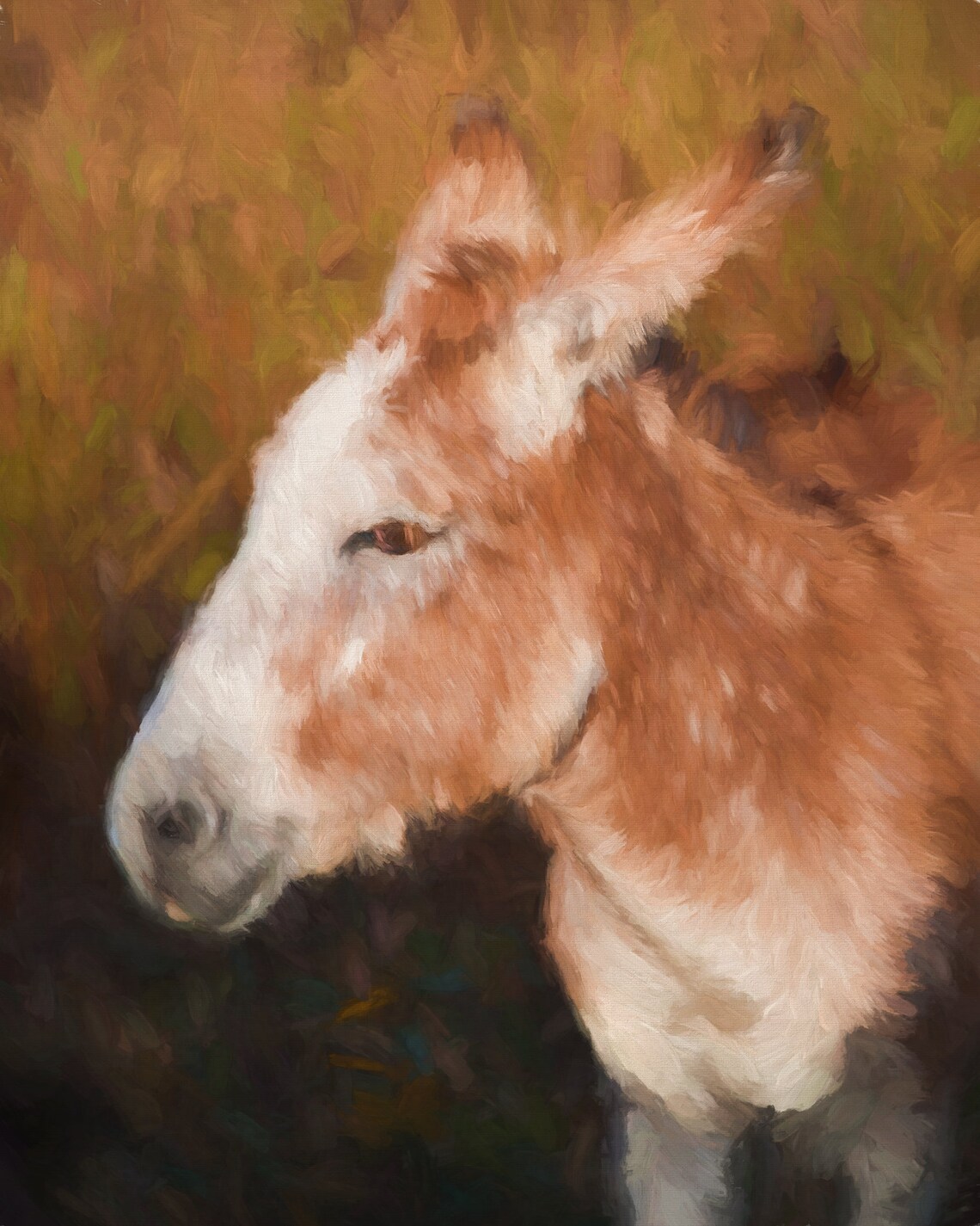 Sweet Burro Donkey Portrait Painterly Farm Animal Wall Art Poster