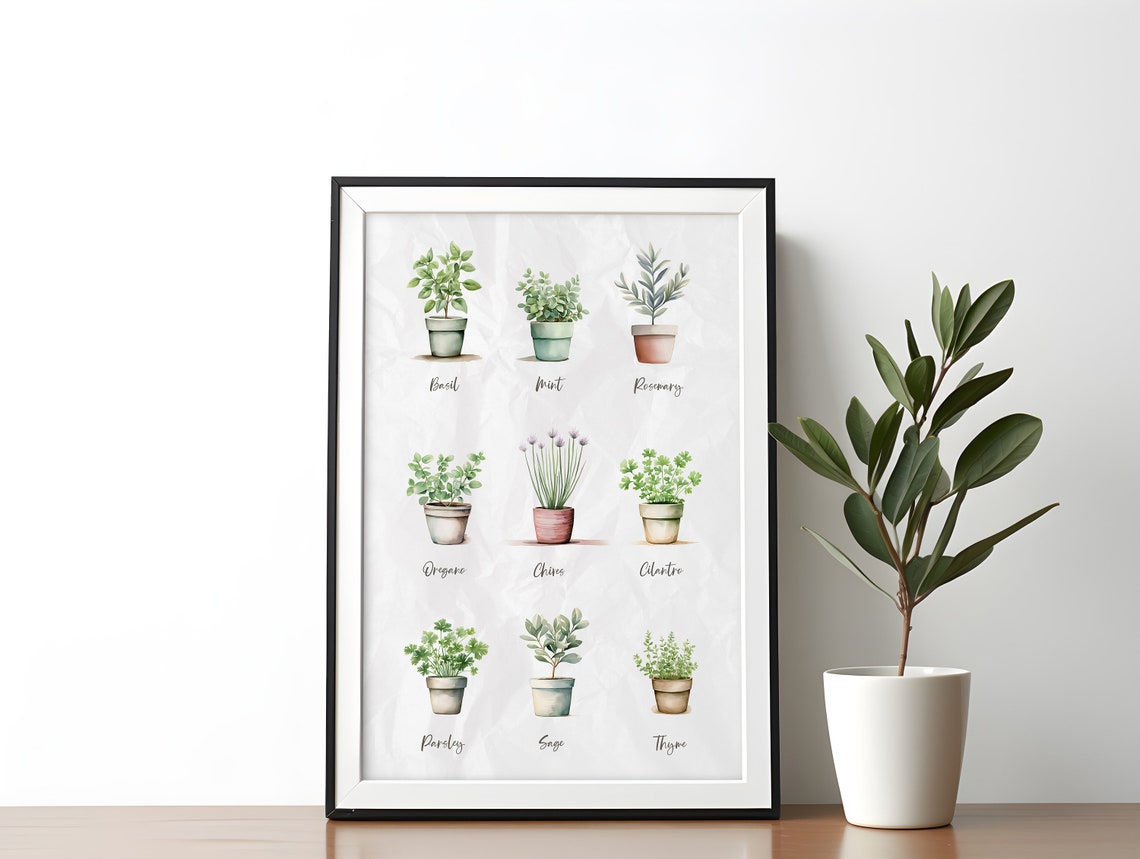 Watercolor Kitchen Herb Chart Basil Mint Rosemary Botanical Poster