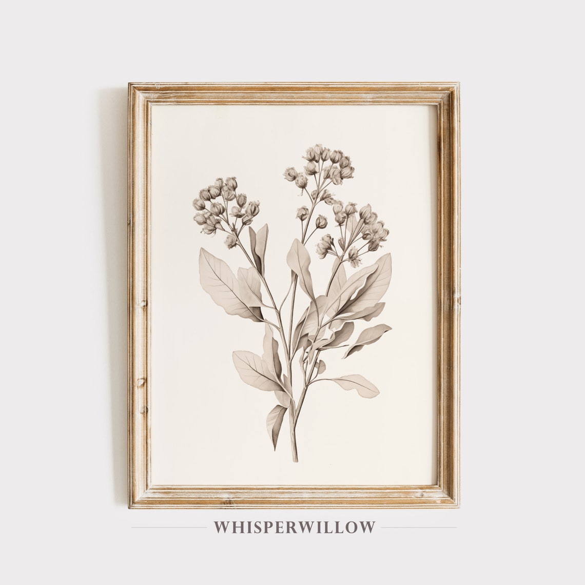 Sepia Flowering Branch Botanical Sketch Antique Foliage Study Poster