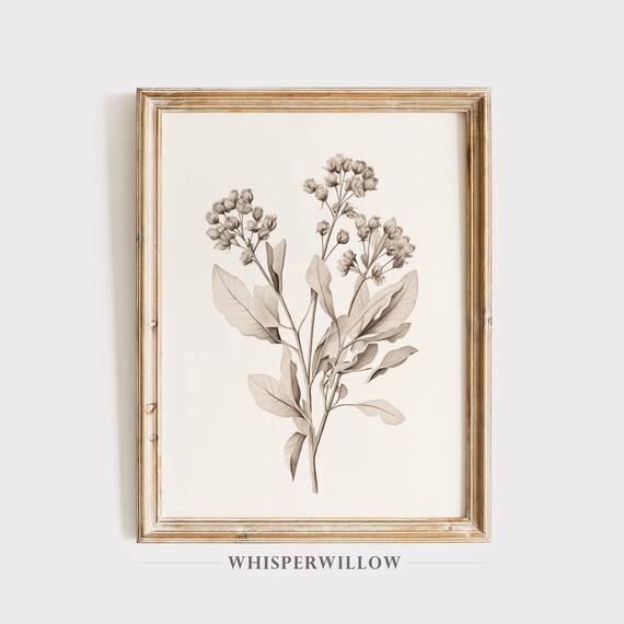 Sepia Flowering Branch Botanical Sketch Antique Foliage Study Poster