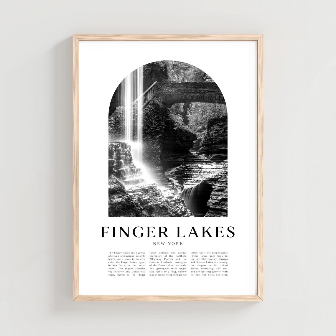 Finger Lakes New York Gorge Waterfall Black White Photo Poster
