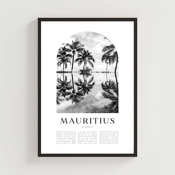 Mauritius Palm Trees With Water Reflection Black and White Photo Poster