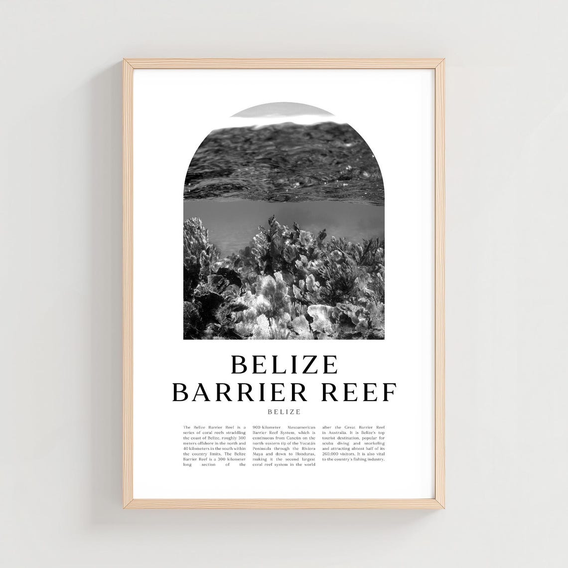Belize Barrier Reef Underwater Coral Garden Mono Photo Poster