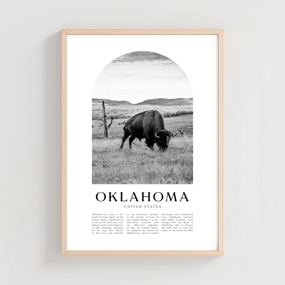 Oklahoma Prairie Bison Grassland Black and White Photo Poster