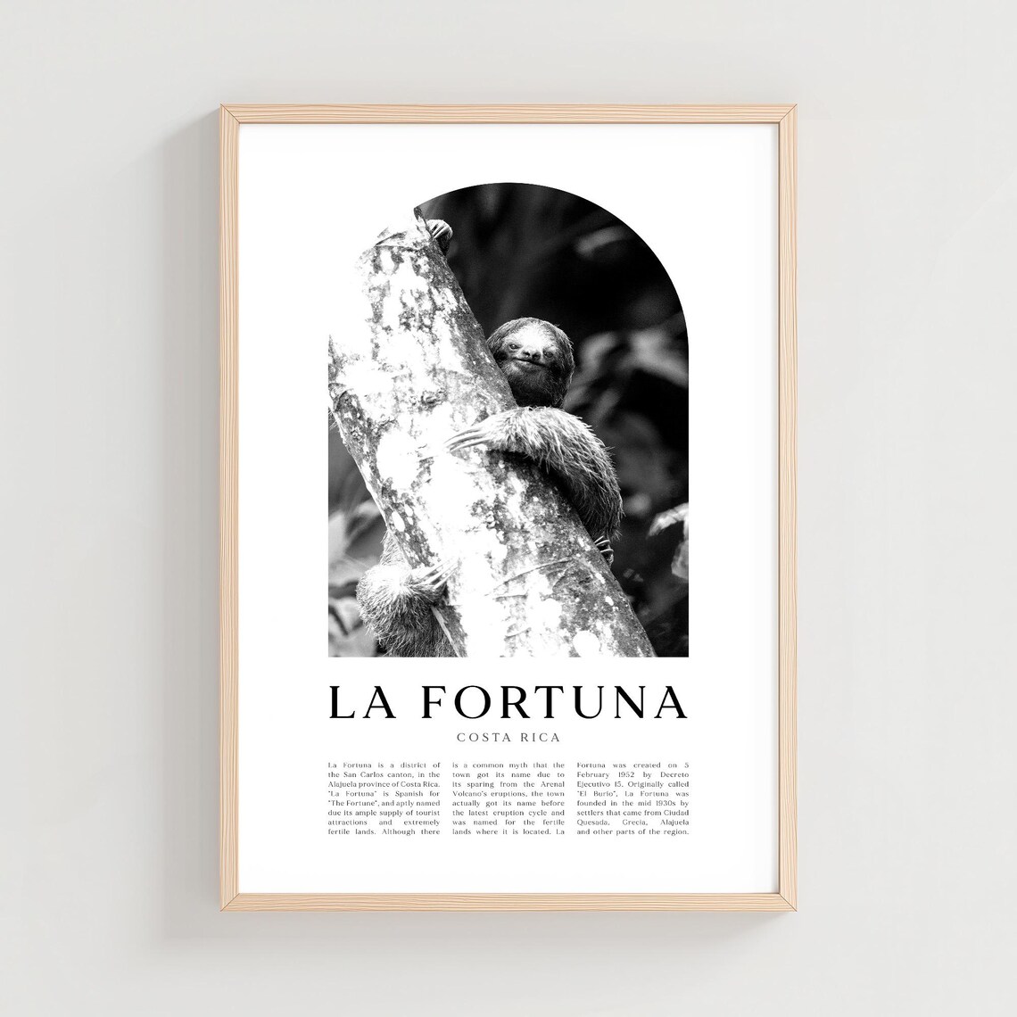 La Fortuna Costa Rica Sloth Clinging To Tree Wildlife Photo Poster