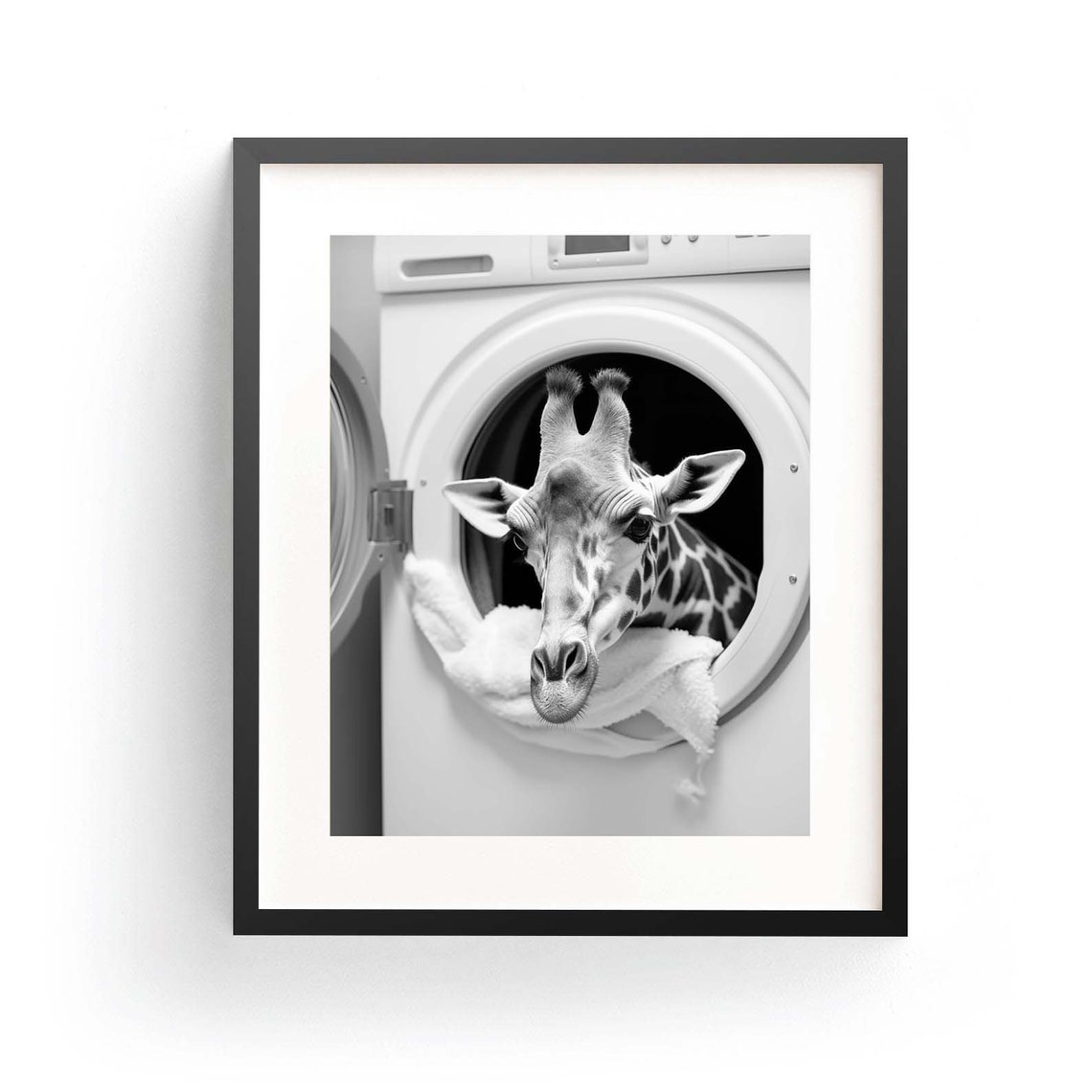 Funny Giraffe Peeking Out Of Washing Machine Black White Poster