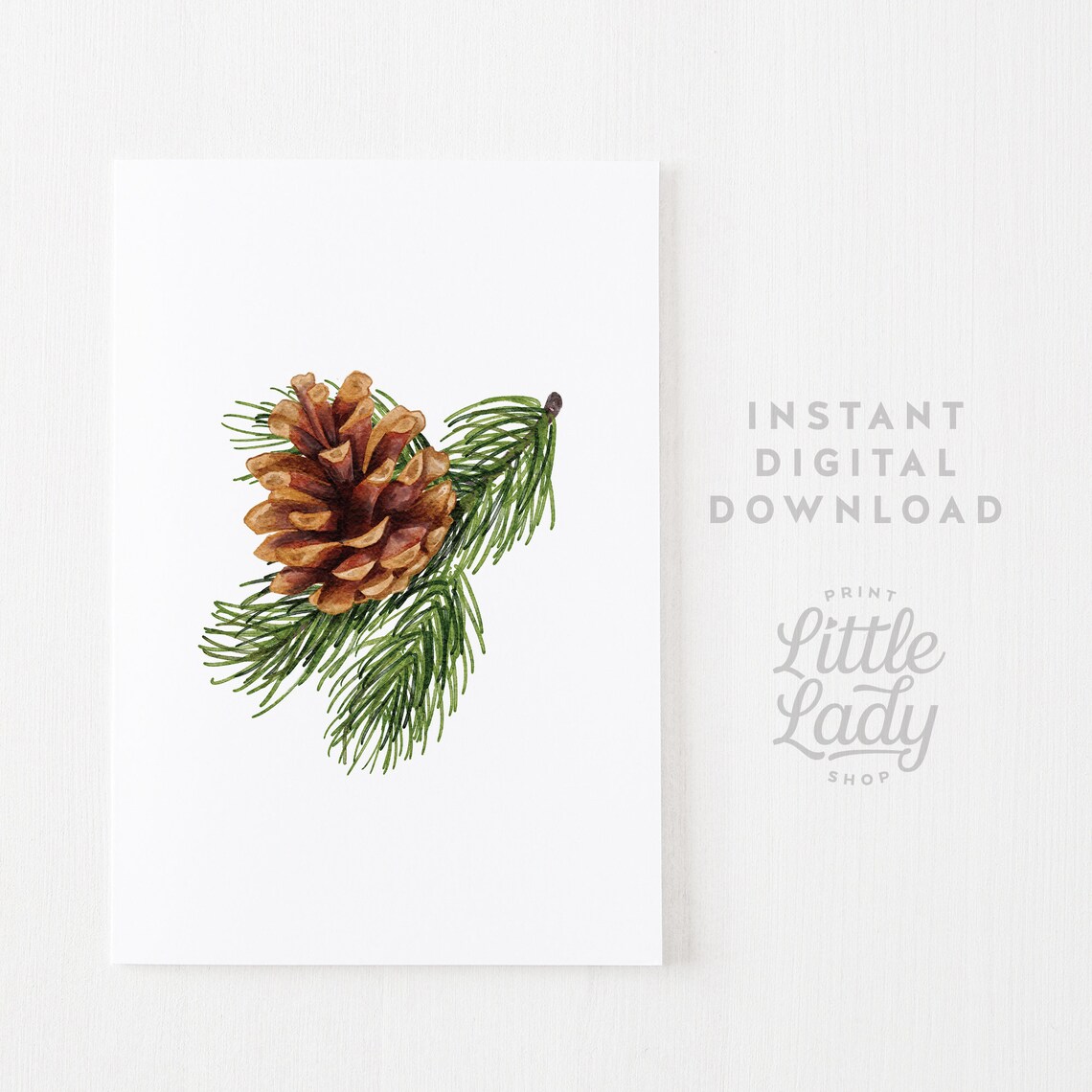 Evergreen Pine Tree Pinecone Art Print, Holiday - Image 4