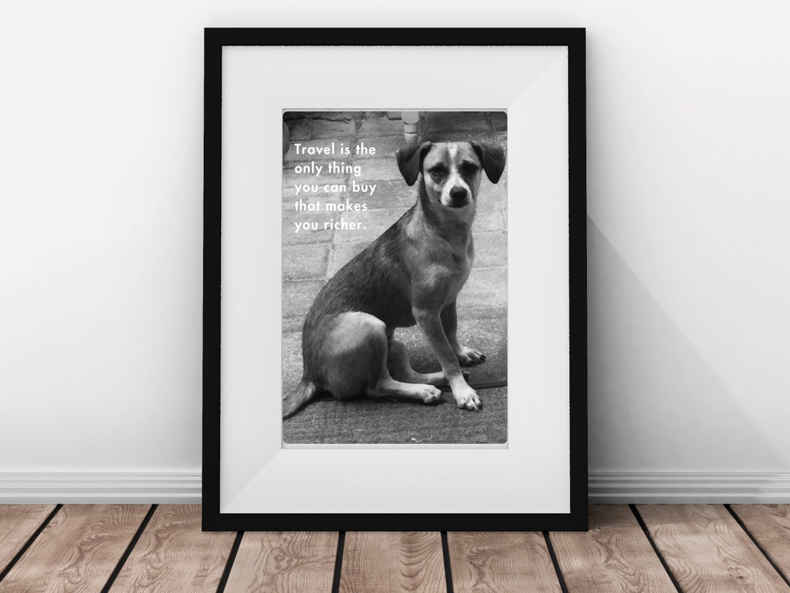 Travel Makes You Richer Inspired Travel Art Print Cute Dog Photo Wall Sassy Dog Gift Love Cute Dog Photo Gift Sassy Stray Love - Image 2