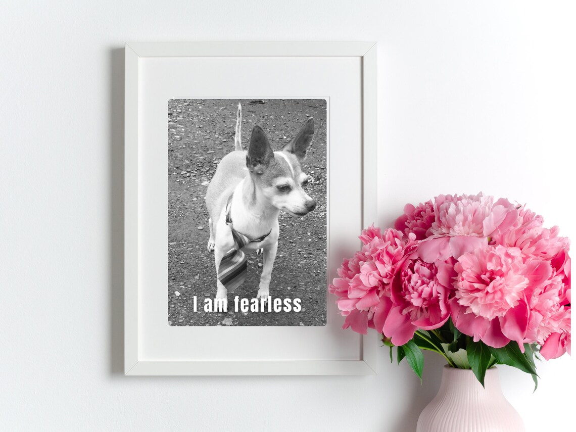 I Am Fearless Little Dog Photo Affirmation Pet Quote Wall Poster - Image 3