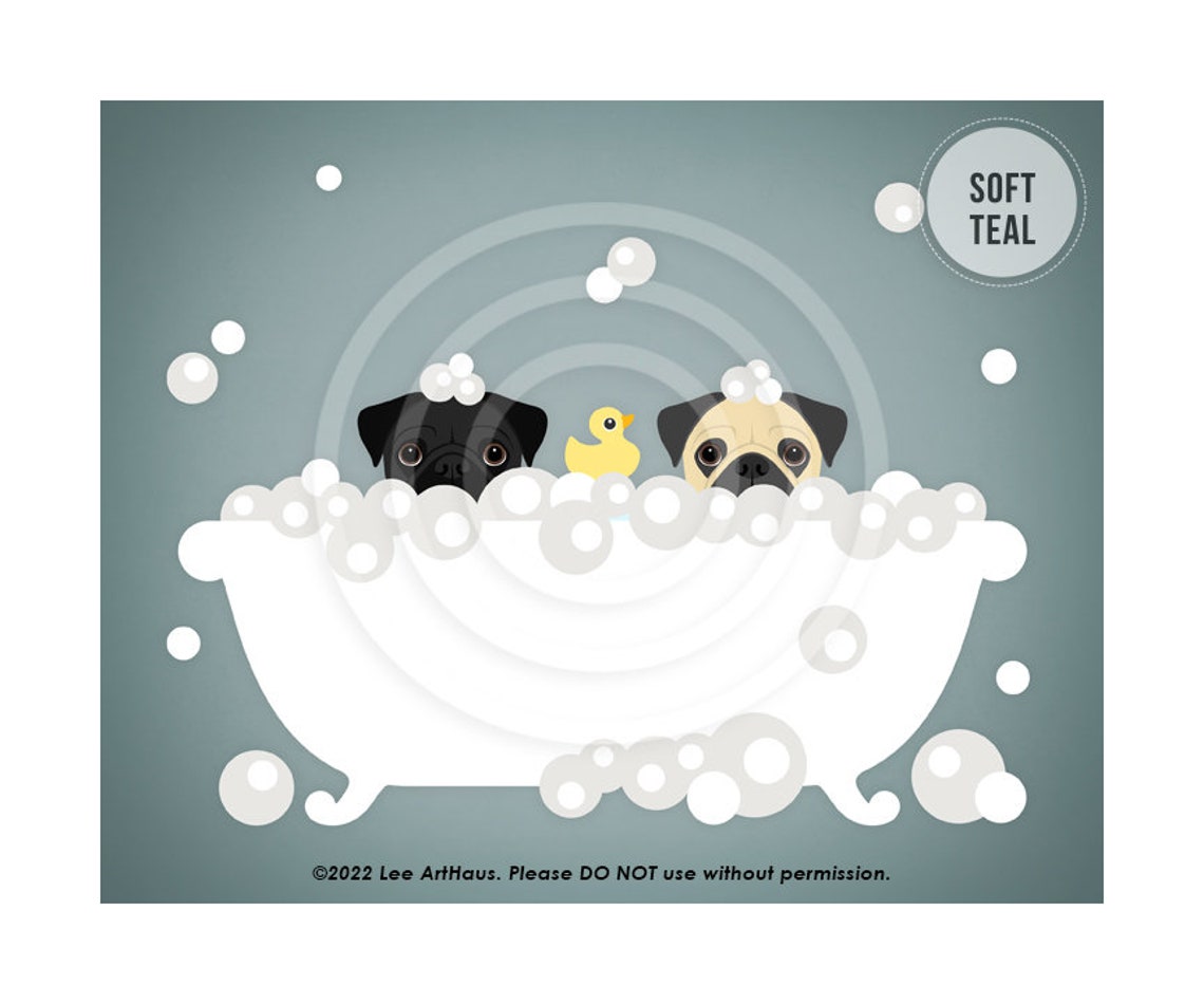 Two Pugs Black And Fawn Peeking Bubble Bath Teal Cute Dog Poster - Image 4