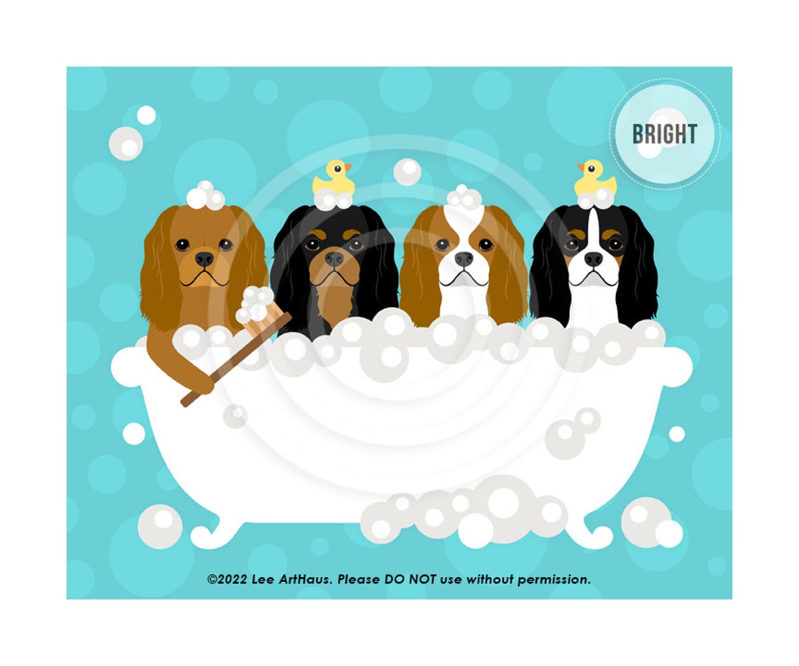 Four Cavalier King Charles Spaniels Bubble Bath Funny Dog Poster