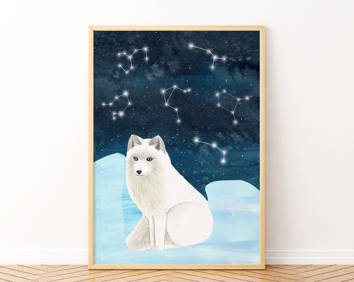 Arctic Fox Art Print, Nursery Animal Illustration