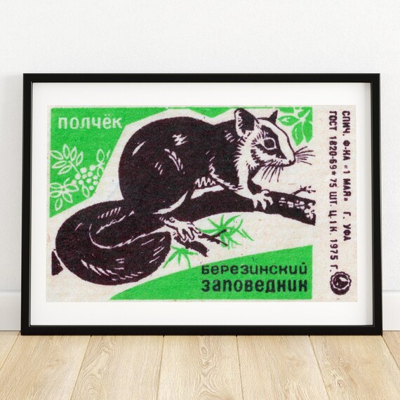 Polochek Dormouse Berezinsky Reserve 1975 Soviet Wildlife Nature Poster