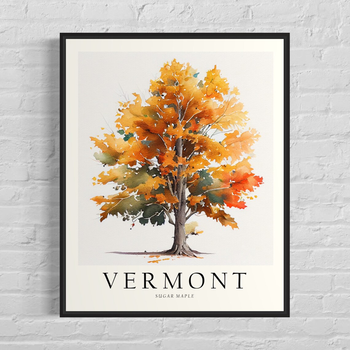 Vermont State Tree Sugar Maple Art Print