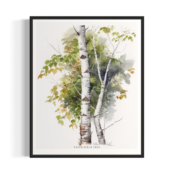 Paper Birch Tree Art Print Paper Birch Tree Wall Art Poster