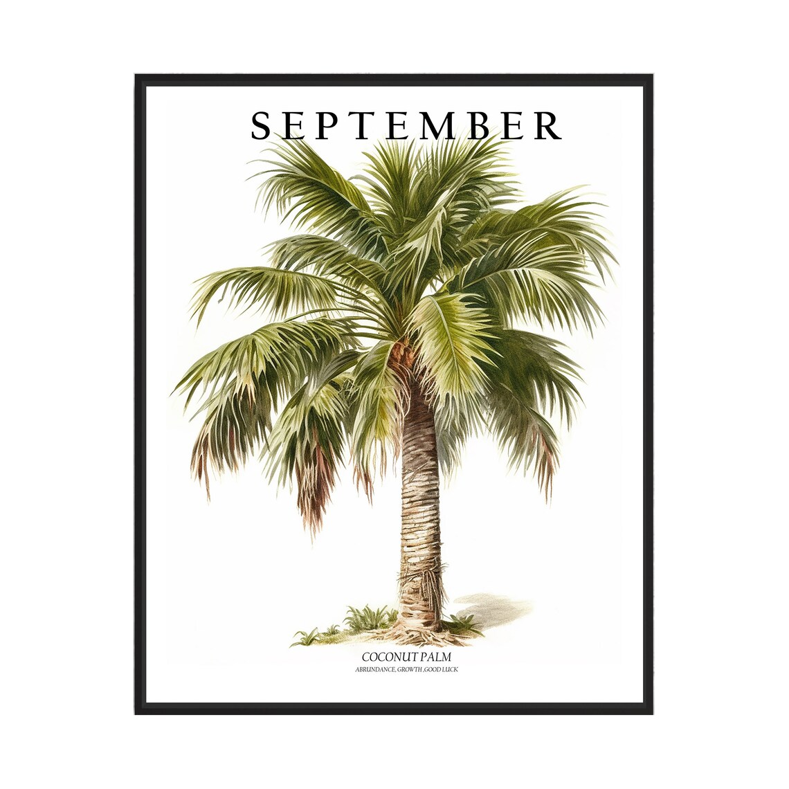 September Coconut Palm Watercolor Botanical Tree Illustration Poster