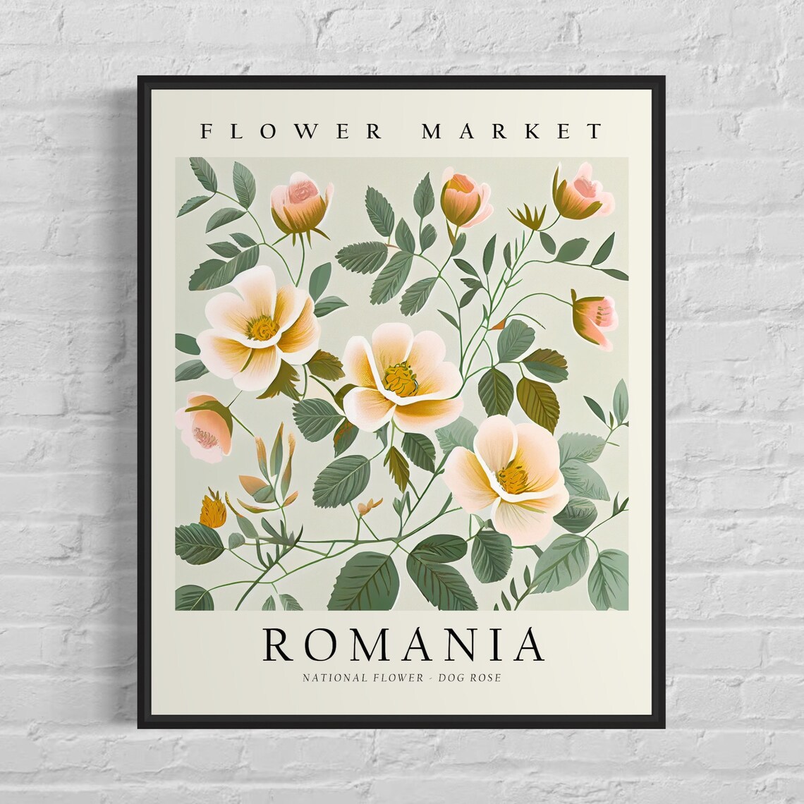 Romania Flower Market Wild Dog Rose Botanical Illustration Poster