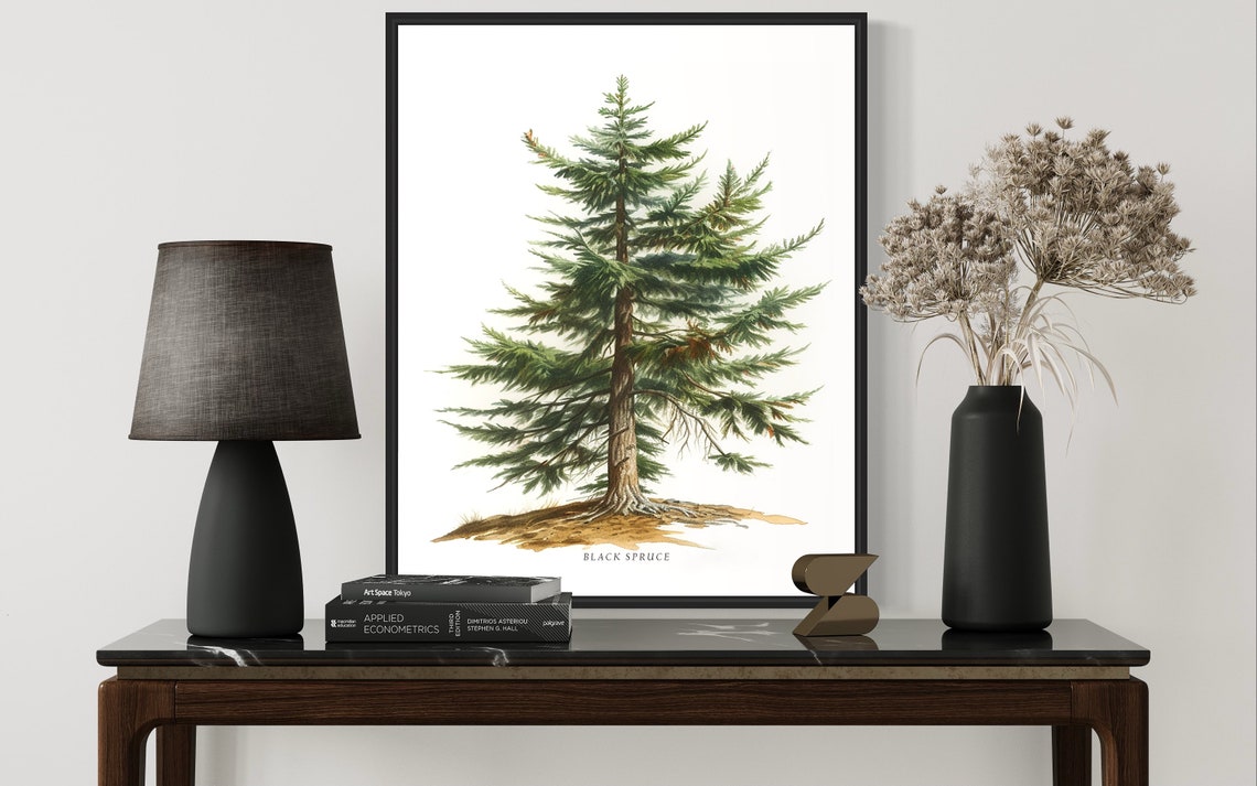 Black Spruce Tree Art Print Black Spruce Tree Wall Art Poster - Image 2