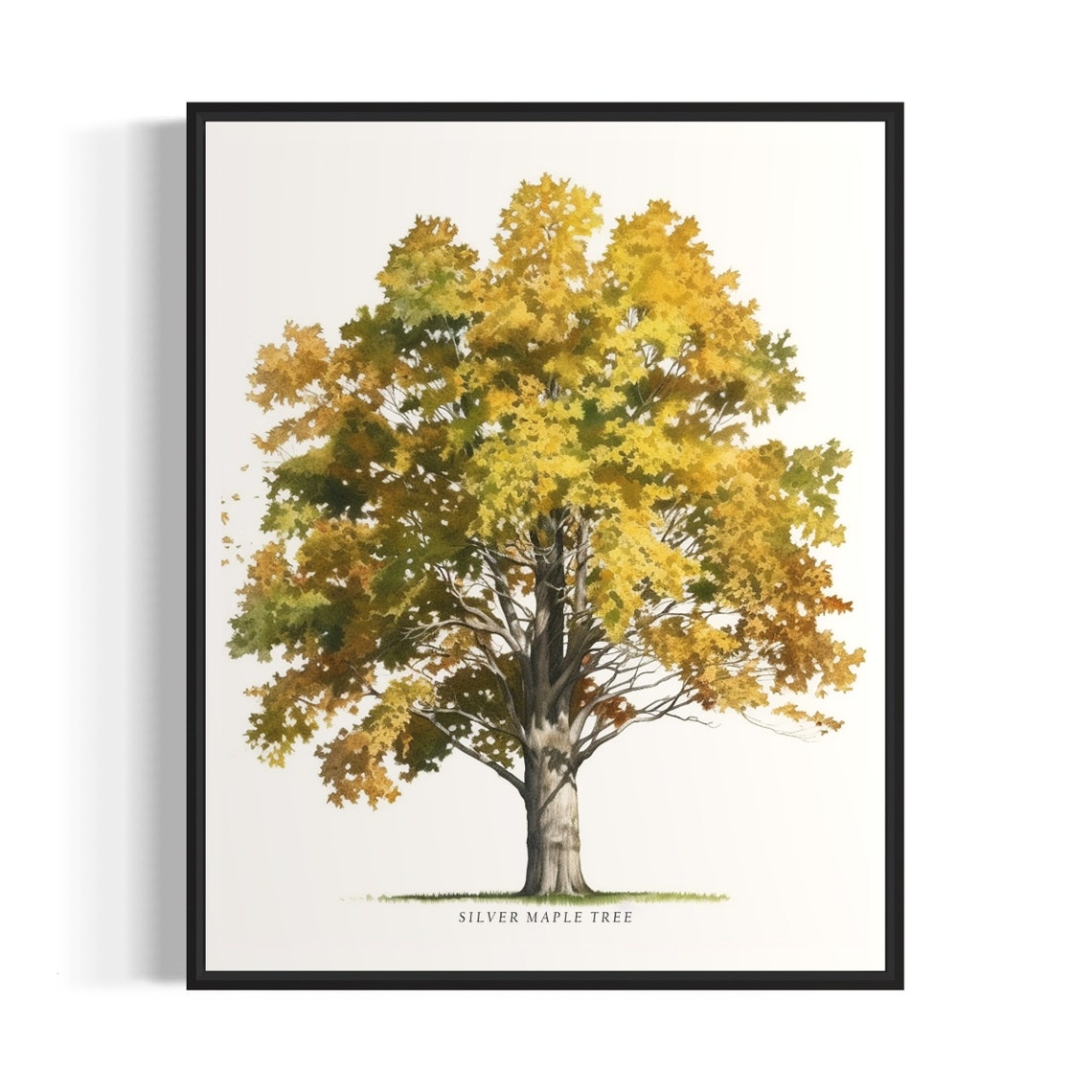 Silver Maple Tree Art Print Silver Maple Tree Wall Art Poster