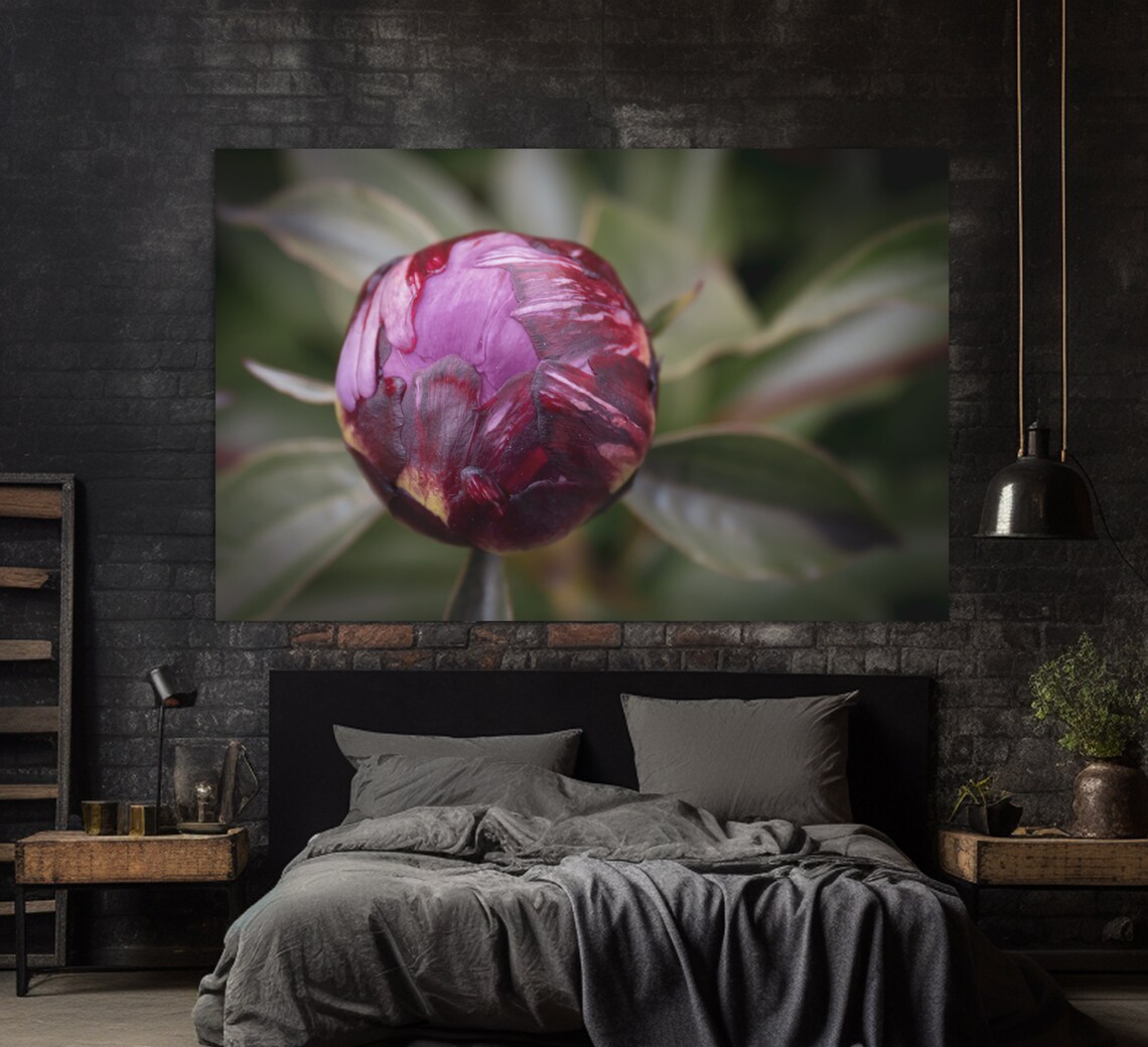 Purple Peony Flower Bud Macro Photography Bloom Floral Art Print - Image 3