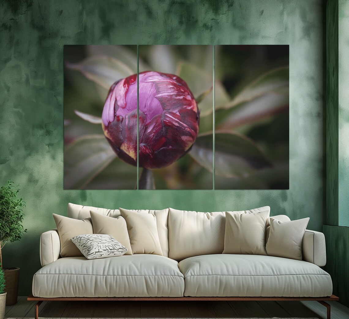 Purple Peony Flower Bud Macro Photography Bloom Floral Art Print - Image 2