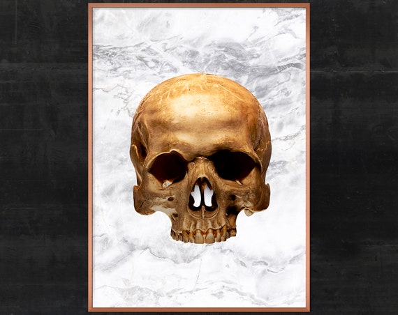 Vintage Gold Skull Print Dark Gothic Art Antique Poster