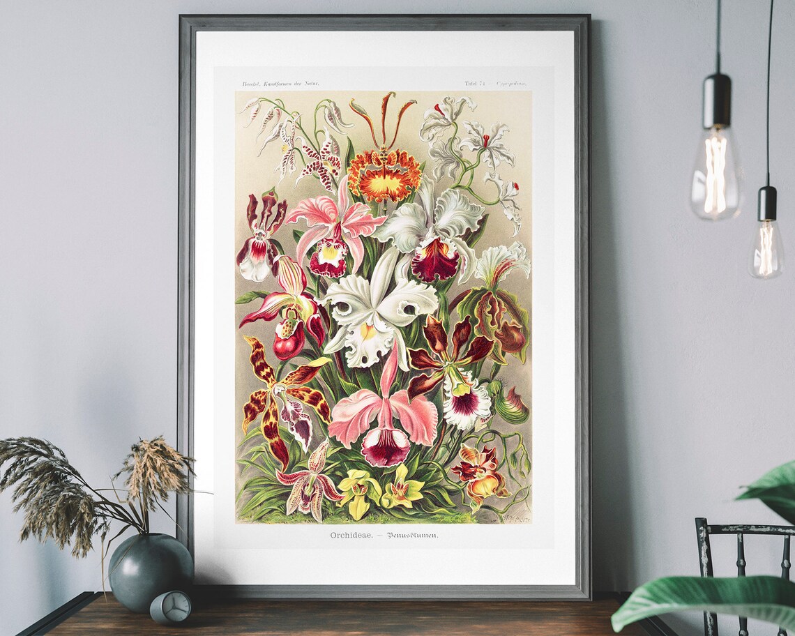 Vintage Flowers Art Print, Antique Botanical Decor