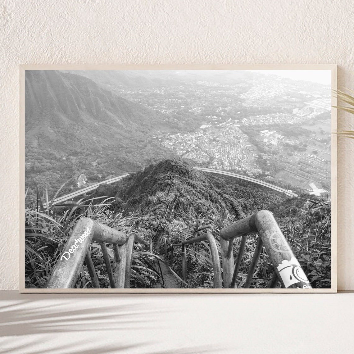 Hawaii Mountain Trail Railing Overlook Black and White Poster