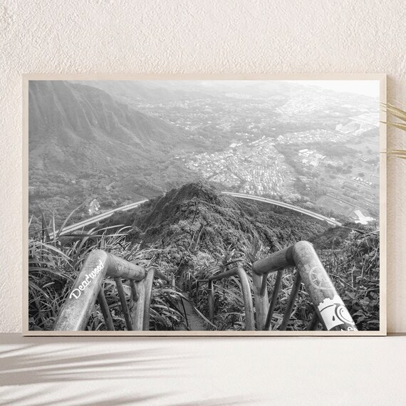 Hawaii Mountain Trail Railing Overlook Black and White Poster