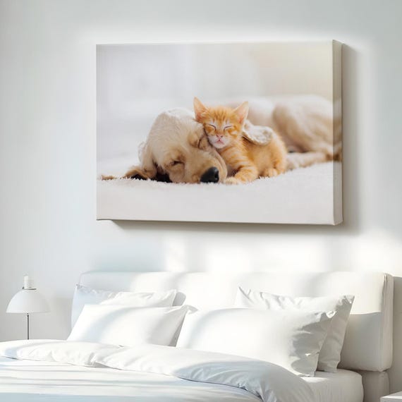 Golden Retriever Puppy Napping Beside An Orange Kitten Canvas Print
