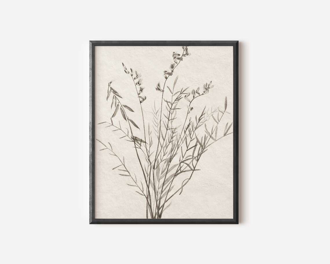 Vintage Botanical Floral Screen Print, Art Print - Image 4
