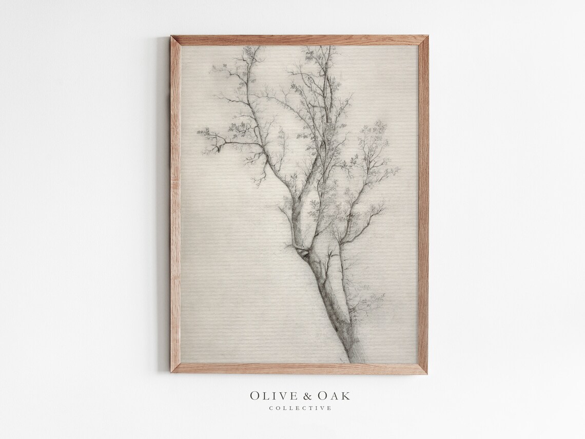 Neutral Tree Sketch, Rustic Botanical Art Print