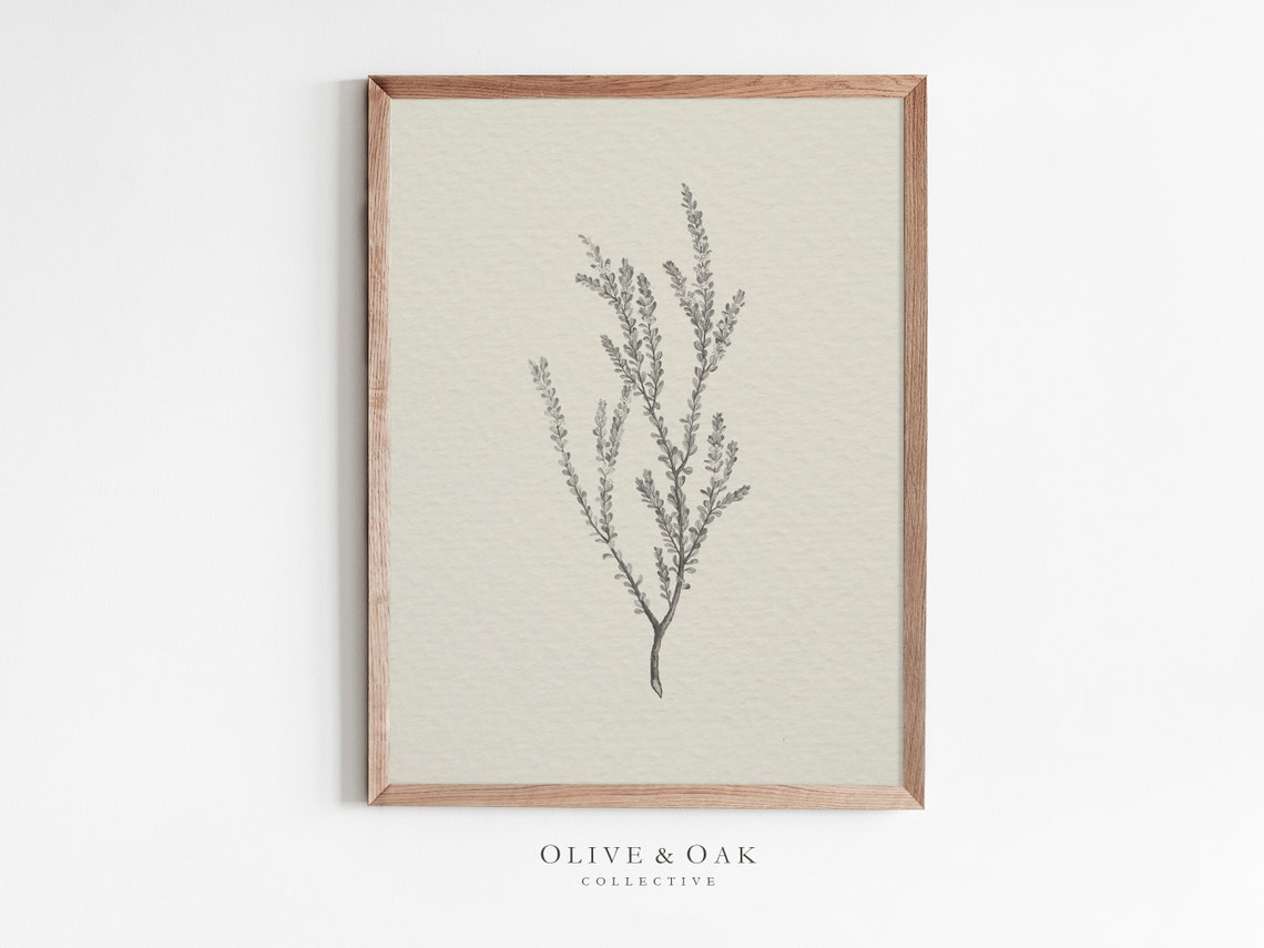 Vintage Botanical Sketch, Farmhouse Decor Art Print