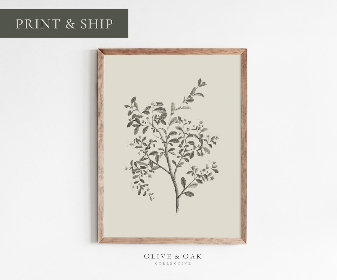 Botanical Wall Art, Simple Branch Drawing