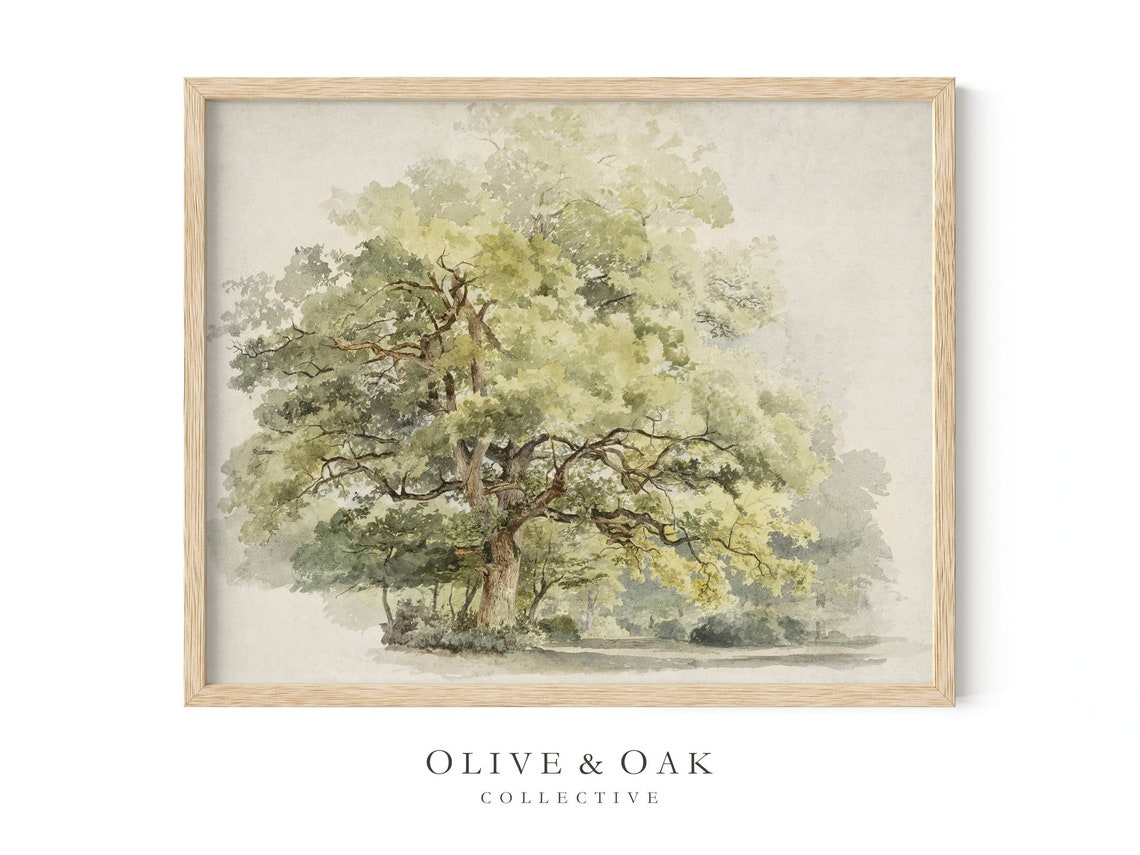Oak Tree Drawing, Rustic Country Cottagecore Art Print - Image 4