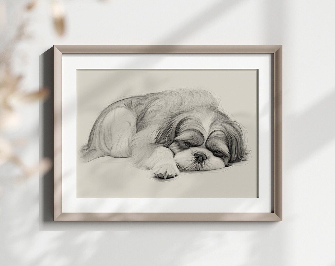 Shih Tzu Sleeping Long Haired Dog Pencil Sketch Breed Lover Poster