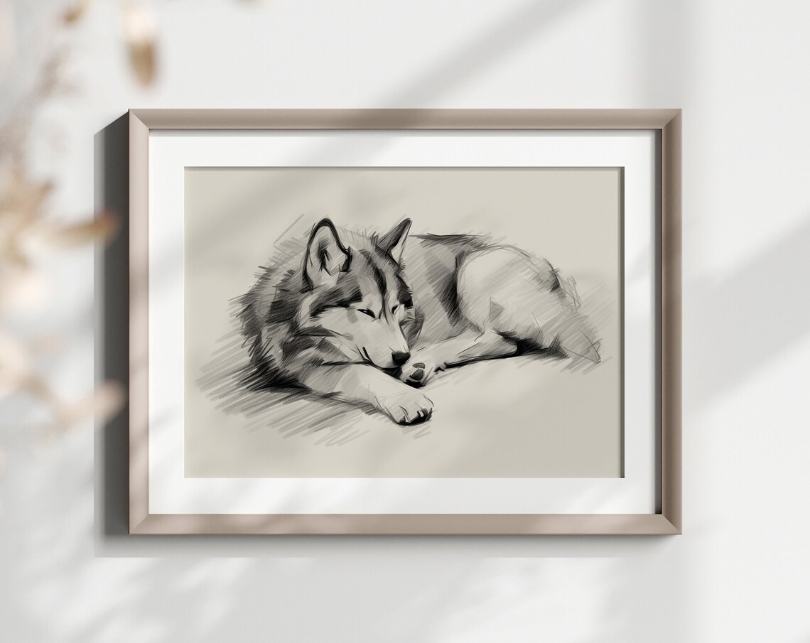 Husky Sleeping Curled Up Soft Pencil Sketch Minimalist Art Print