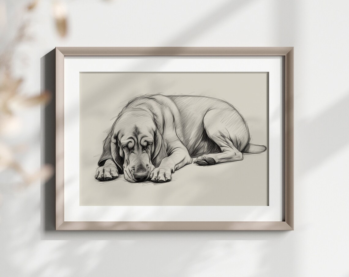 Bloodhound Sleeping Wrinkled Dog Pencil Sketch Breed Lover Poster