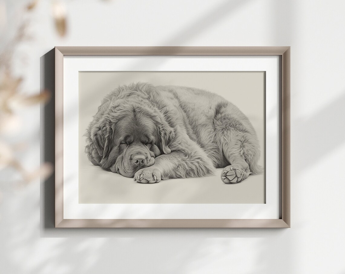 Newfoundland Sleeping Giant Dog Pencil Sketch Breed Lover Gift Poster