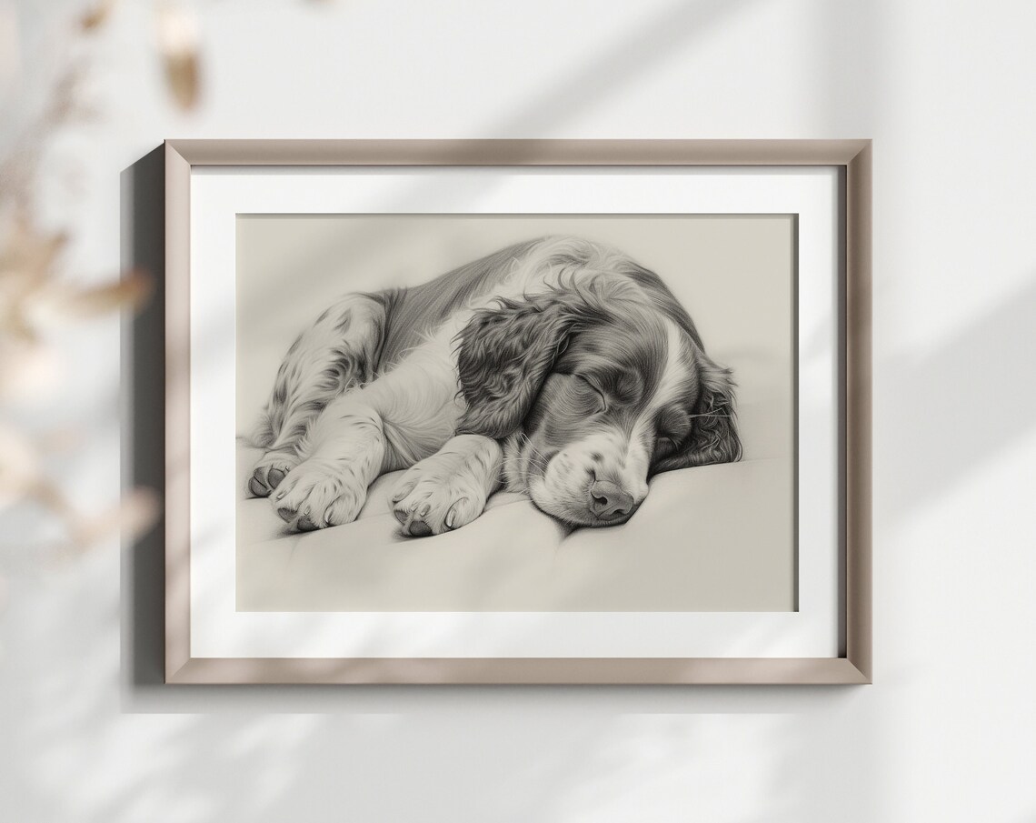 Springer Spaniel Sleeping Puppy Pencil Sketch Breed Lover Gift Poster